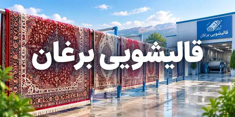 قالیشویی برغان
